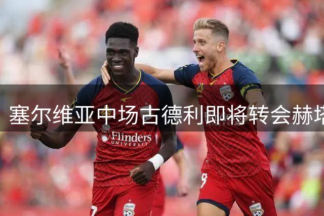 塞尔维亚中场古德利即将转会赫塔费